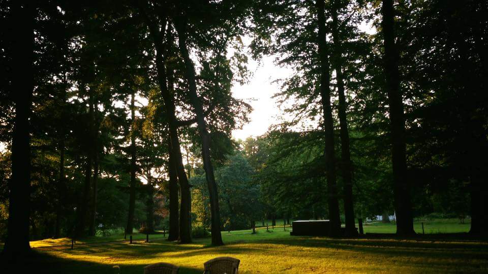 Het parkbos van Boerderij Hoekelum in de avondzon, onze buitenlocatie in Bennekom
