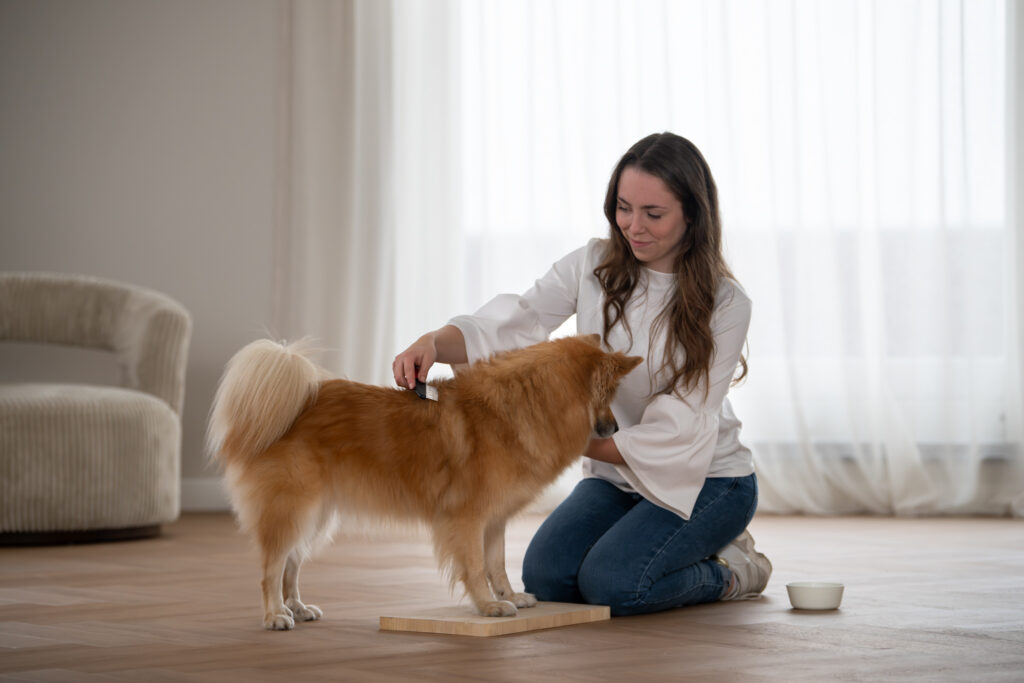 Tamira borstelt haar hond, die uit zichzelf op een laag houten plankje is gaan staan
